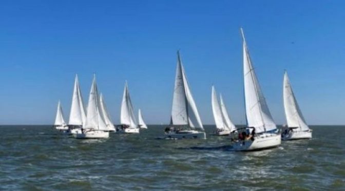 Markol-Cup 2026 – Segel-Fun-Regatta auf dem IJsselmeer